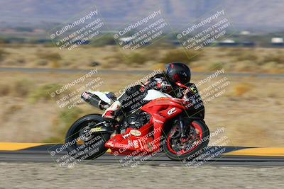 media/Nov-15-2024-CVMA Friday Practice (Fri) [[b142d29251]]/4-Group 4 and Trackday/Session 1 (Turn 14 Speed Pans)/